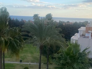 A residential area with palm trees and a view of the sea.