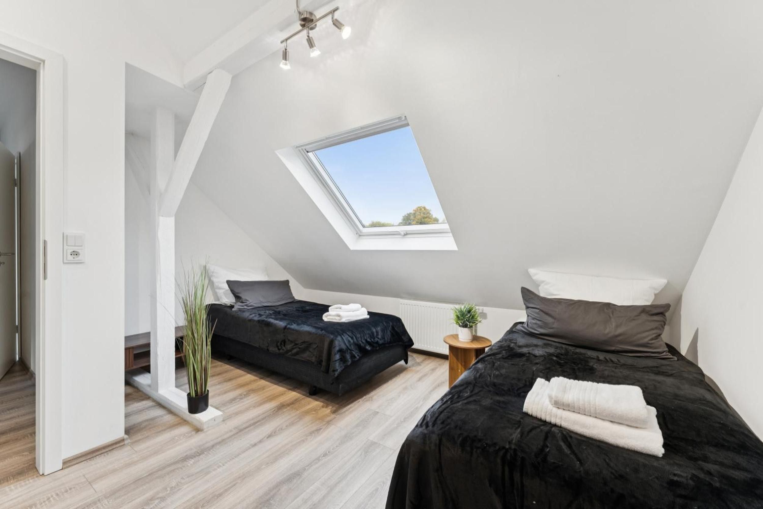 A modern bedroom with a skylight, two beds, a small table, and a potted plant.