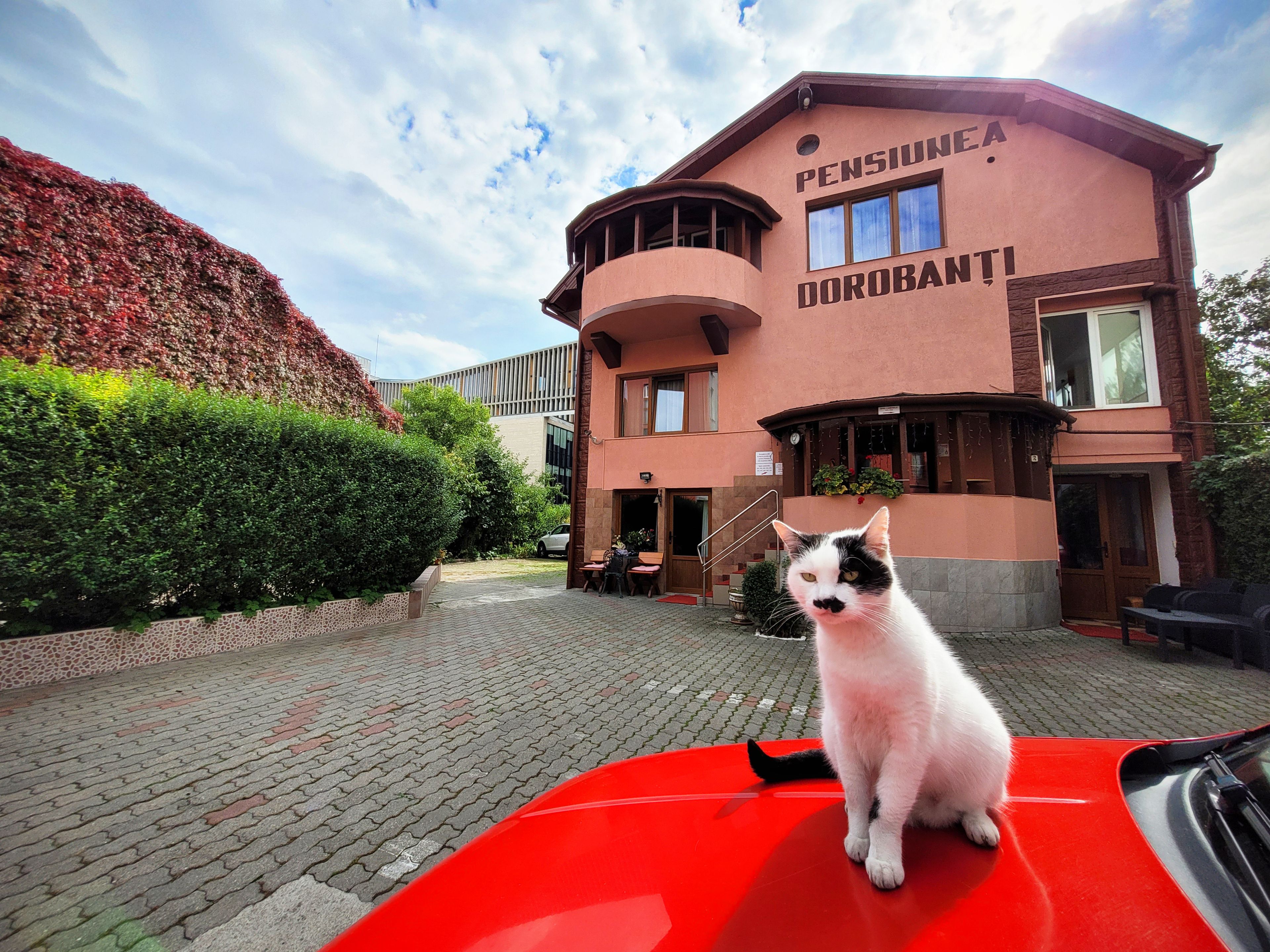 A building with a sign reading 'PENSIONE DOROBANTI' and a cat sitting on a red car.