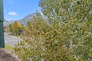 A street lined with trees and a mountain in the background. - Tmc304f2 (Frisco)