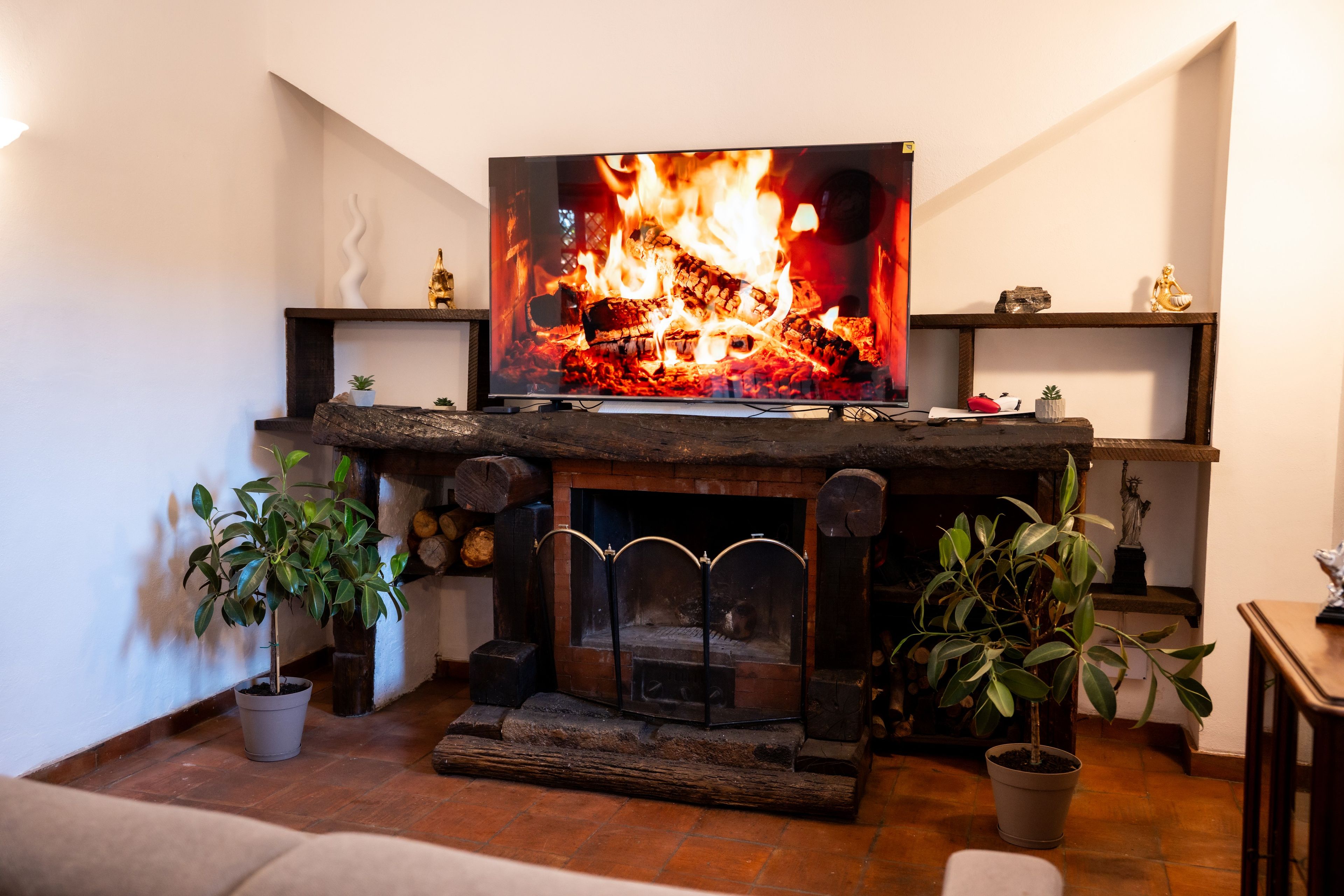 A fireplace with a television above it, surrounded by potted plants.