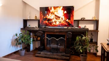 A fireplace with a television above it, surrounded by potted plants.