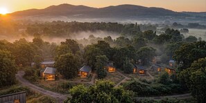 A series of modern cabins with large windows, surrounded by dense forest, and a path leading through the property. - Arbora 2.0 Spa (Malvern)
