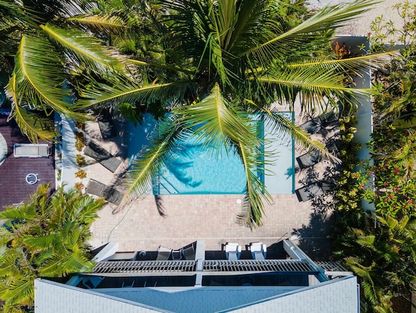 Eine Vogelperspektive eines Dachpools, umgeben von Palmen, mit blauem Himmel.