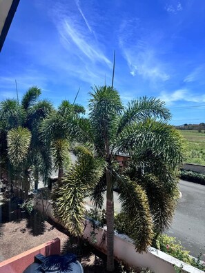 Blick auf eine Straße mit Palmen und blauem Himmel.