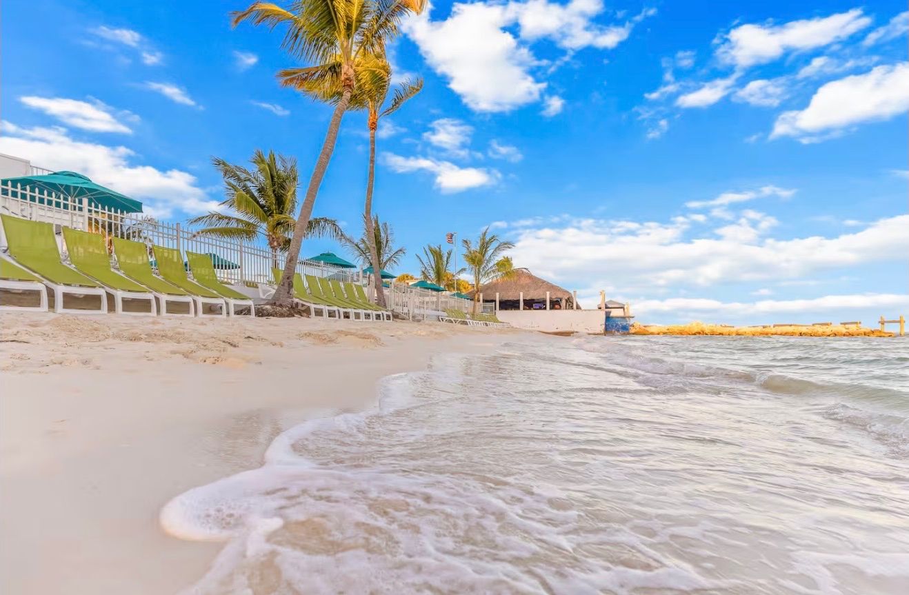 A beach with green lounge chairs, palm trees, and a thatched-roof structure.