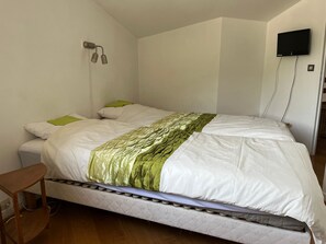 A bedroom with a bed, a bedside table, a wall-mounted TV, and a ceiling light fixture. - Family duplex, pets welcome, parking - 6 guests (Brides-les-Bains)