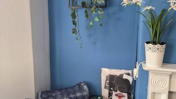 A corner of a room with a blue wall, a hanging plant, a white fireplace, and a shelf with books and a plant.