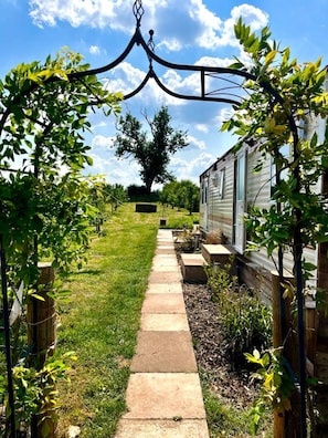 A pathway leading to a house with a covered entrance, surrounded by greenery and a clear sky.