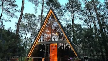 A triangular wooden cabin with a staircase leading to the entrance, surrounded by trees.