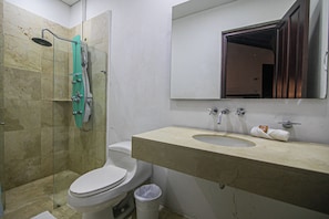 Un baño con ducha, inodoro, lavabo y espejo.