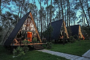 A series of triangular cabins with a glass facade, surrounded by a forest. - Dream Cottages – Verde – Flora 07 (Ureki)