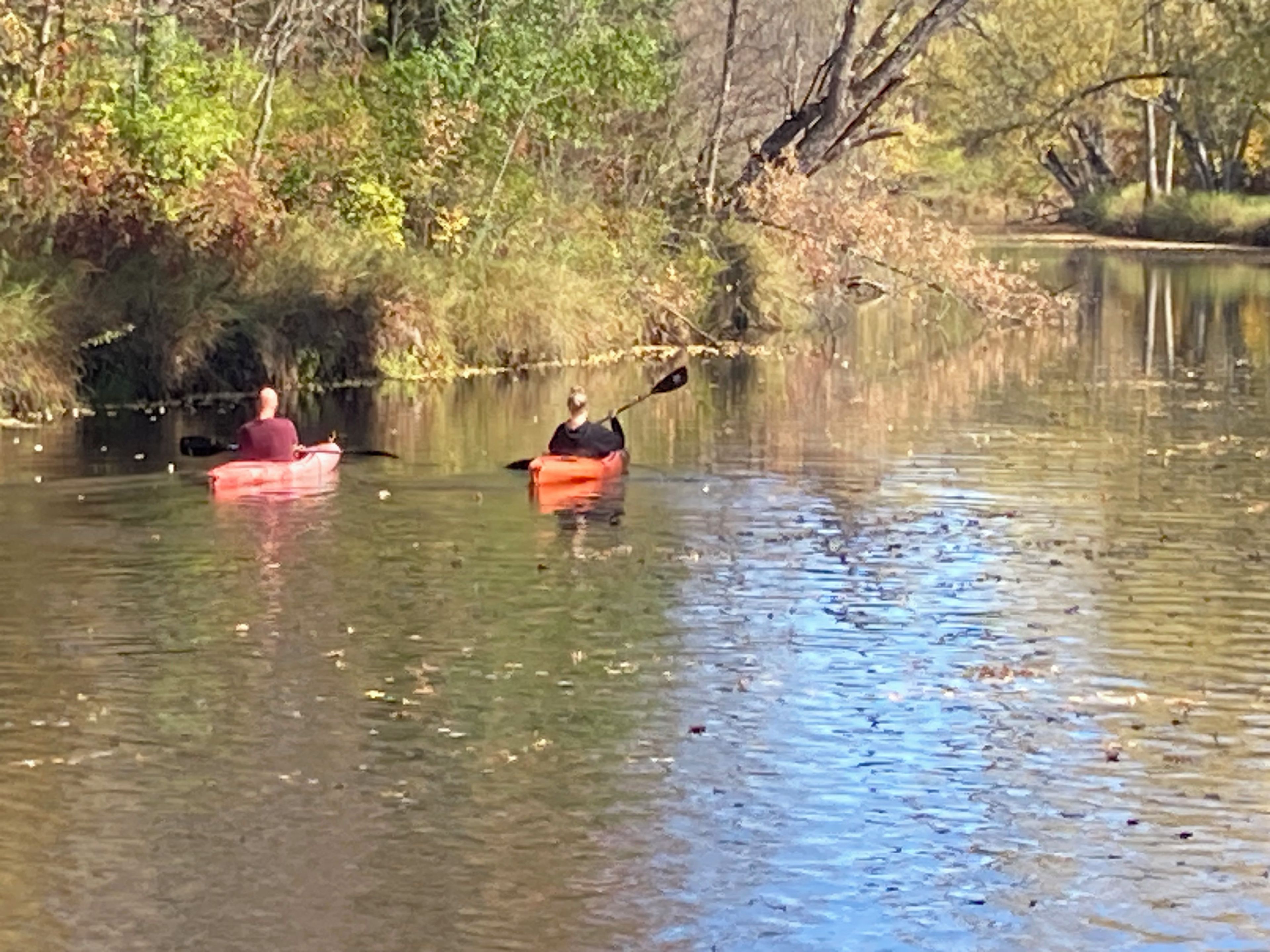 Two kayaks on a calm body of water surrounded by trees.