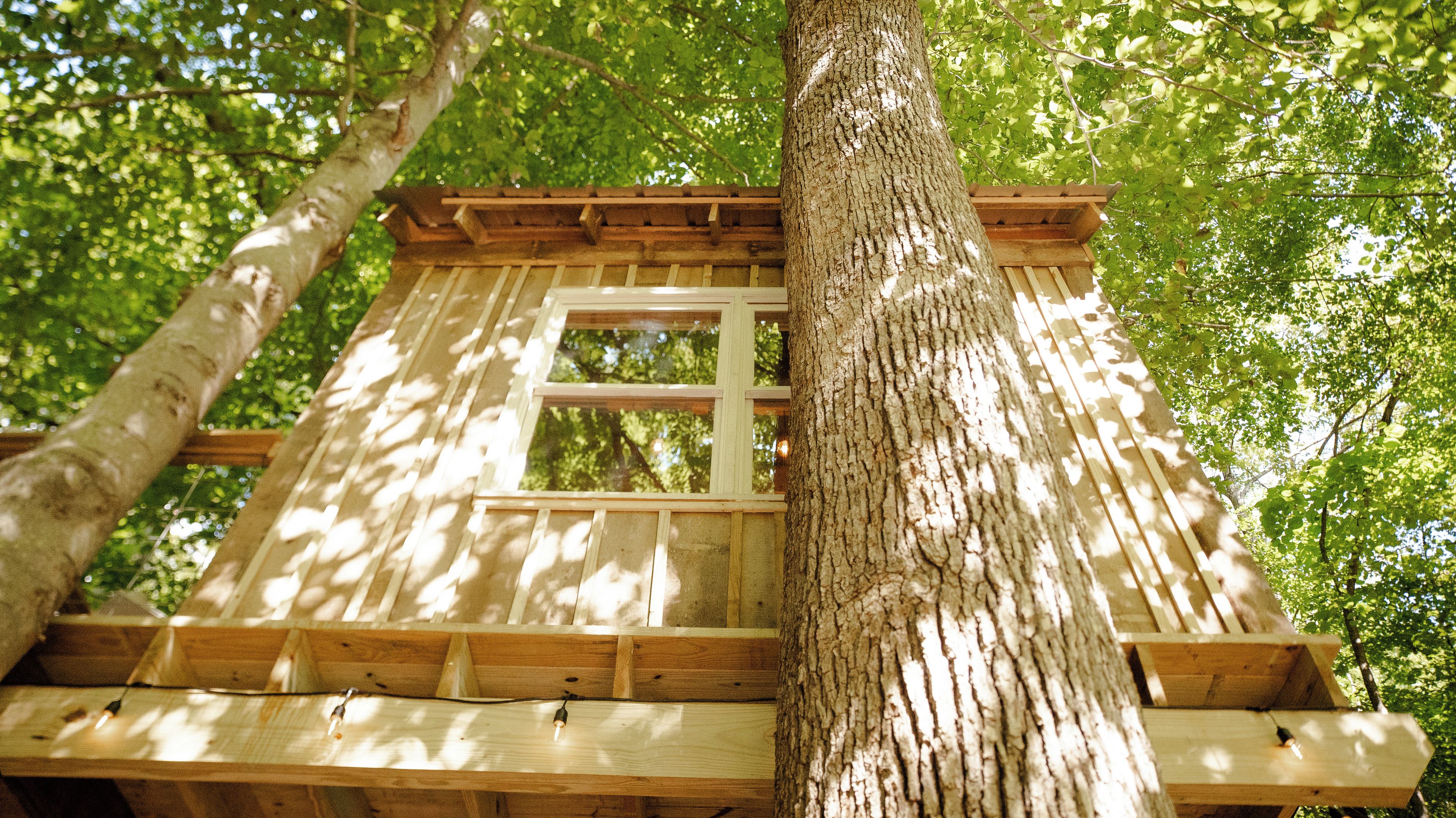 A wooden treehouse with a window, surrounded by trees.