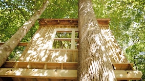 Een houten boomhuis met een raam, omgeven door bomen.
