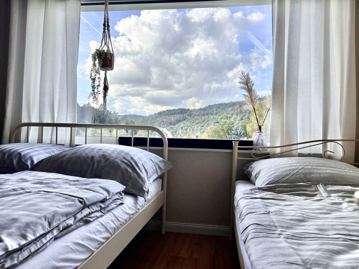 Une chambre avec deux lits, une fenêtre donnant sur un paysage boisé et une plante suspendue.