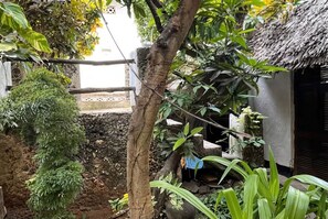 A garden area with a tree, a thatched-roof structure, and various plants.