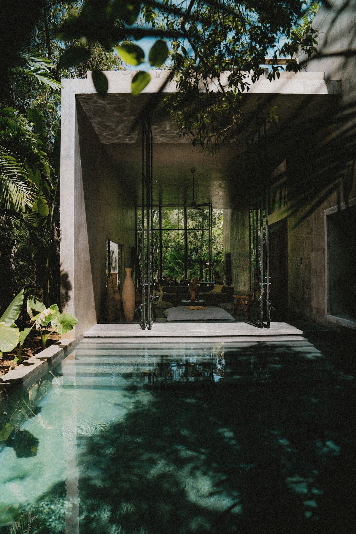 Un área de piscina interior moderna con vistas despejadas a la vegetación circundante.