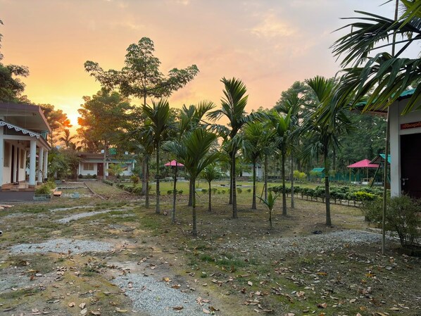 A pathway lined with palm trees leading to a building with a red roof.