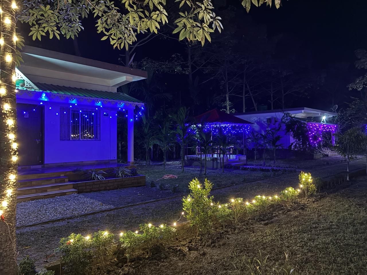 A building with a porch and steps, surrounded by trees and illuminated by string lights.