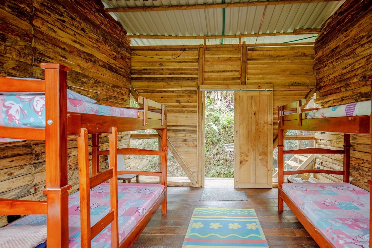 A wooden cabin with bunk beds, a door leading outside, and a patterned rug on the floor.