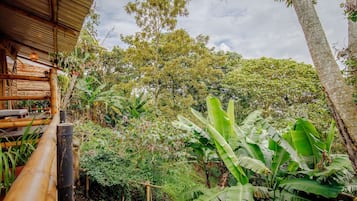 Una struttura in legno rustica con tetto di paglia, circondata da rigogliosa vegetazione tropicale tra cui alberi di banana e diversi arbusti.