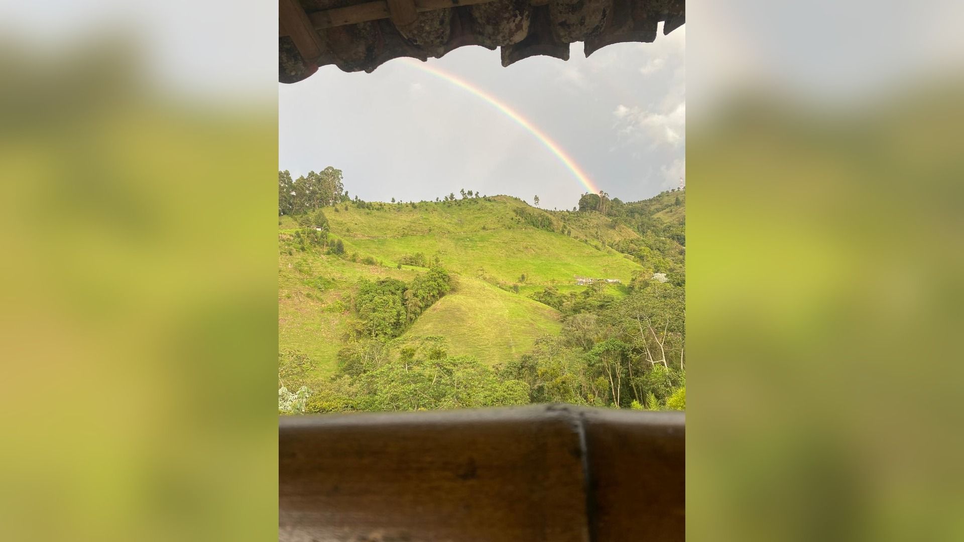 Een uitzicht op een groen landschap met een regenboog.