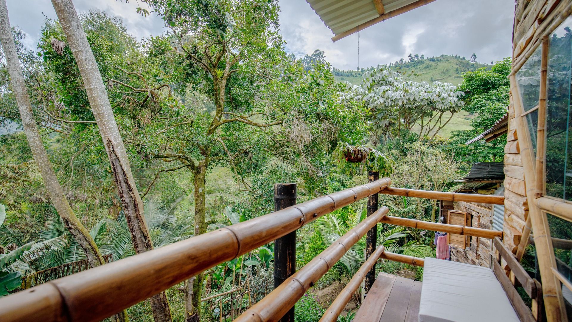 Un balcón de madera con vista a un paisaje exuberante y verde.