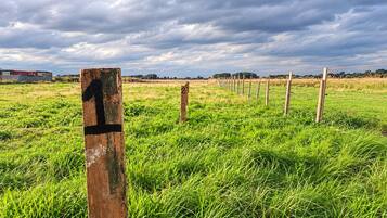 A grassy field with a wooden post marked '2' and a fence in the distance.