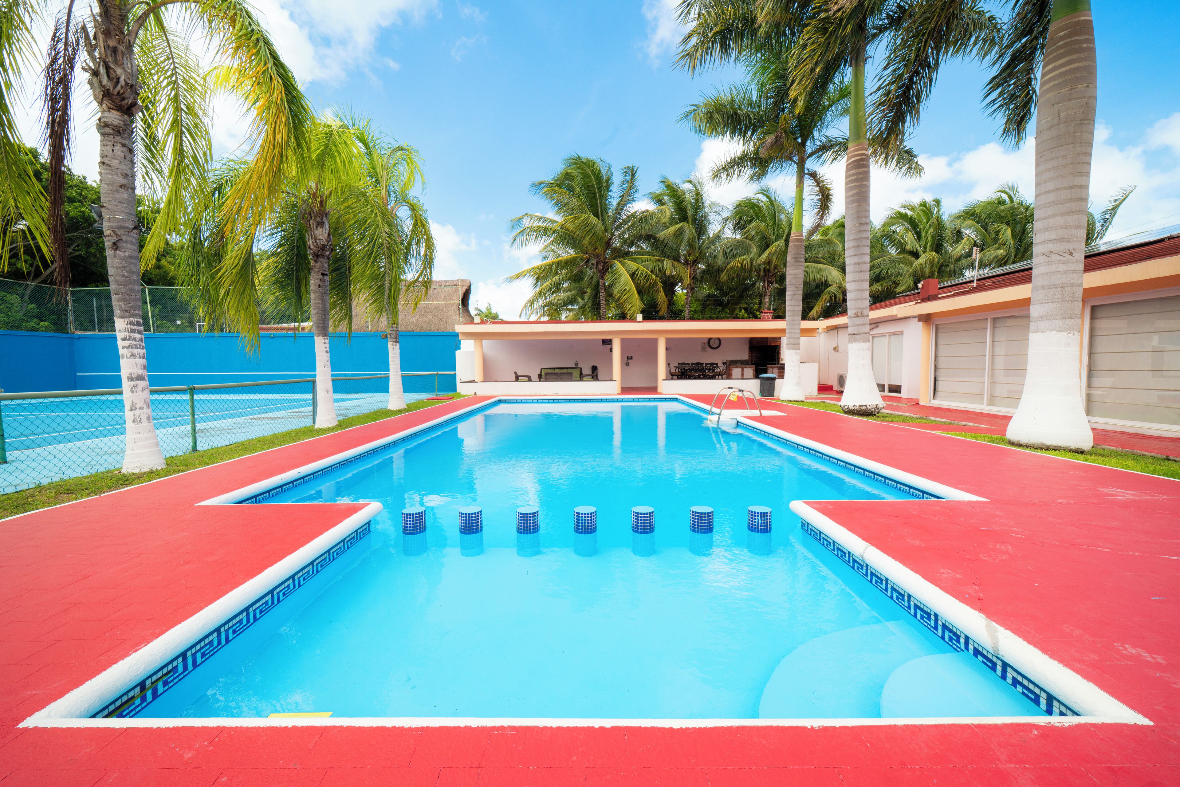 A swimming pool with a red border, surrounded by palm trees and a blue fence.