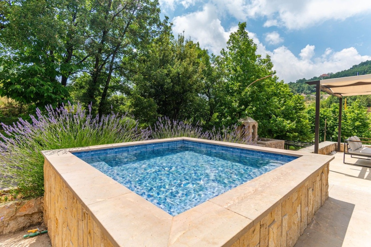 Piscina externa retangular com água azul cristalina, rodeada por um deck de pedra e vegetação exuberante.