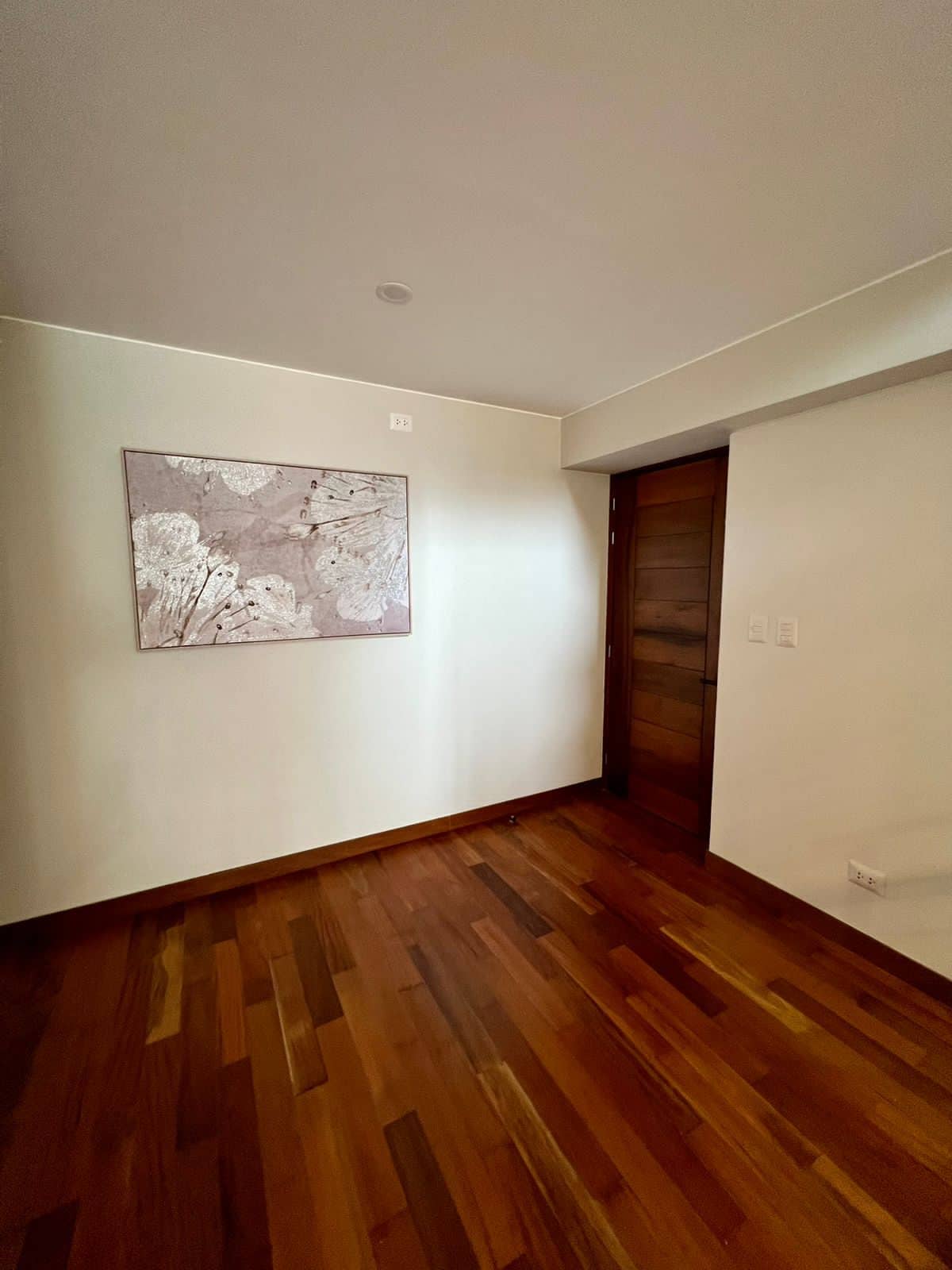 A room with wooden flooring, a single wall-mounted artwork, and a wooden door.