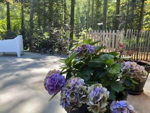 A concrete patio with a white bench and potted hydrangea plants. - New Listing (Hotton)