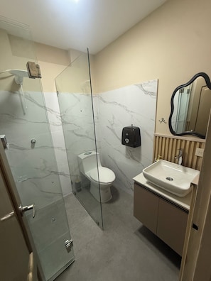 A modern bathroom with a glass-enclosed shower, a toilet, and a sink with a mirror above it.