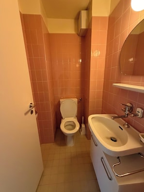 Een badkamer met toilet, wastafel en spiegel.
