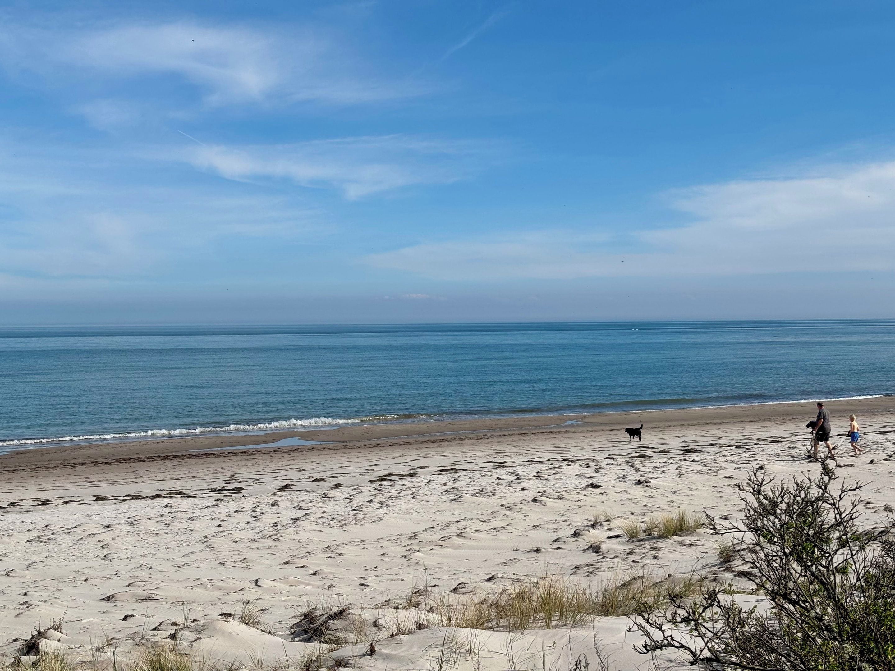 A beach with a clear sky, sandy terrain, and a few people and a dog.