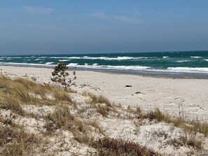 A beach with sand dunes and sparse vegetation. - Beautiful cottage close to forest and beach (Væggerløse)