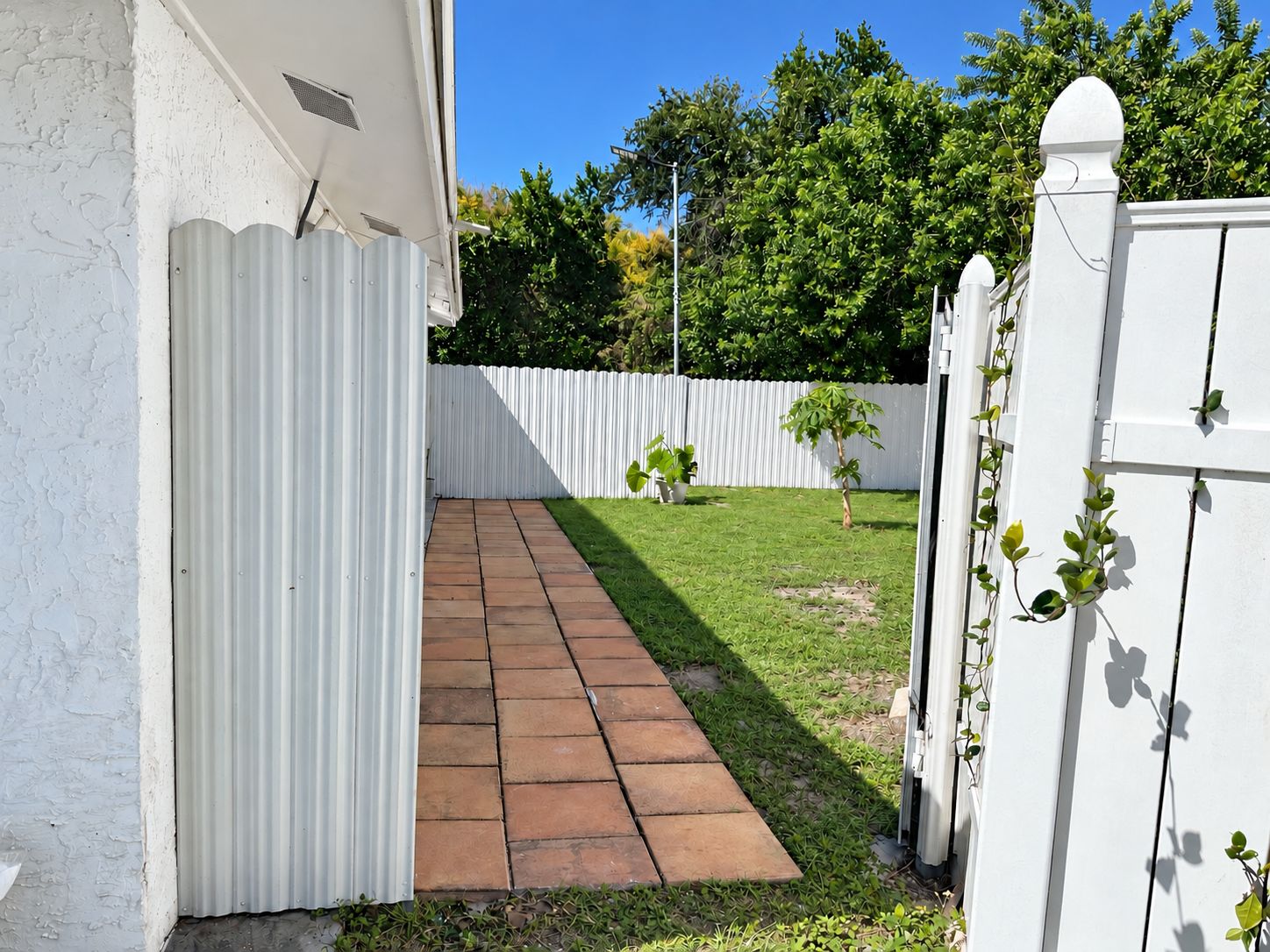 A paved pathway leading to a white fence with a small tree and potted plants.