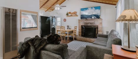 Una sala de estar acogedora con chimenea, televisión y un perro descansando en un sofá.
