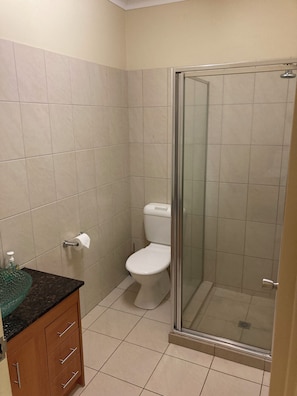 Ein Badezimmer mit Toilette, einer Duschkabine aus Glas und einem Waschtisch mit Marmorplatte.