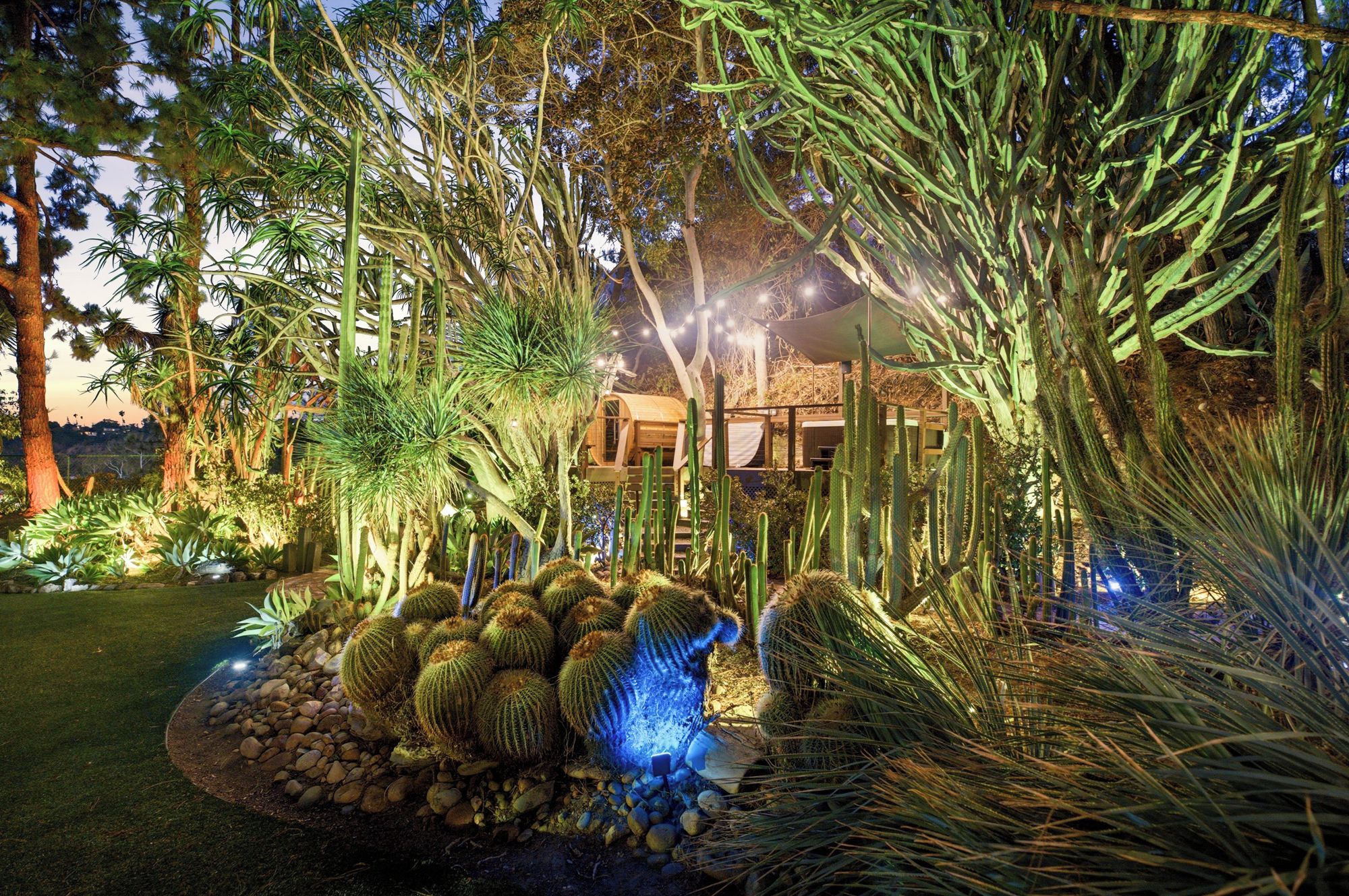 A garden with various cacti and desert plants, a wooden structure, and a building in the background.