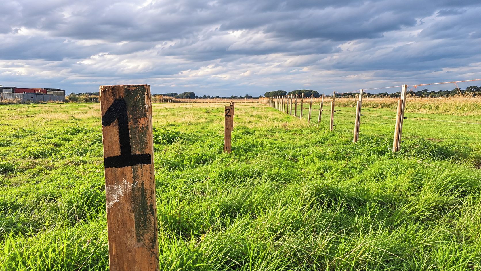 A grassy field with wooden posts marked with numbers, a cloudy sky, and a distant building.