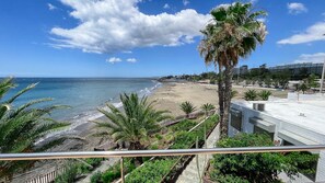 A beach with a palm tree, a building, and a clear sky. - Nueva Suecia 716 Studio (San Agustin)