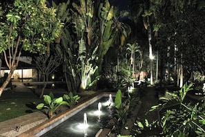 Un jardin nocturne agrémenté d’un élément aquatique, illuminé par un éclairage d’ambiance et entouré d’une végétation tropicale.