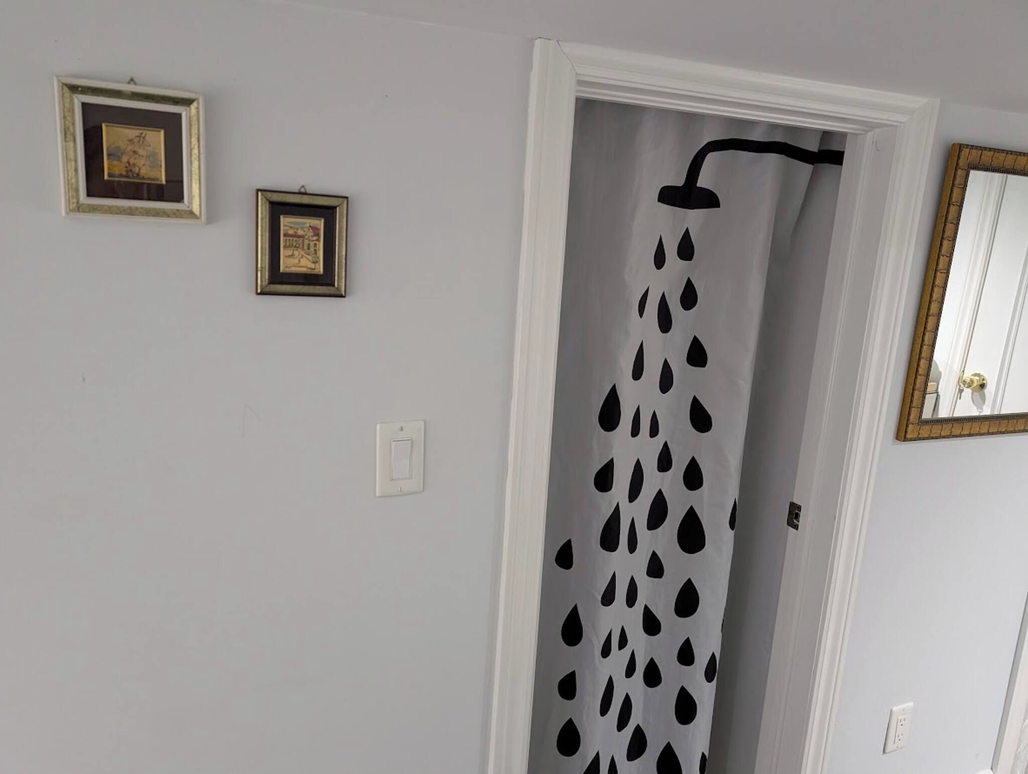 A bathroom with a shower curtain featuring a black teardrop pattern, a white door, and two framed pictures on the wall.