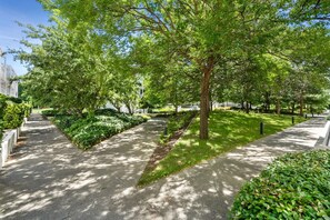 A tree-lined pathway with a concrete surface, bordered by neatly trimmed hedges and grass. - Stylish 1-Bed Apartment with Outdoor Space (Kingston)