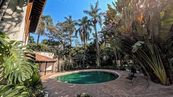 Una piscina rodeada de plantas tropicales y palmeras.