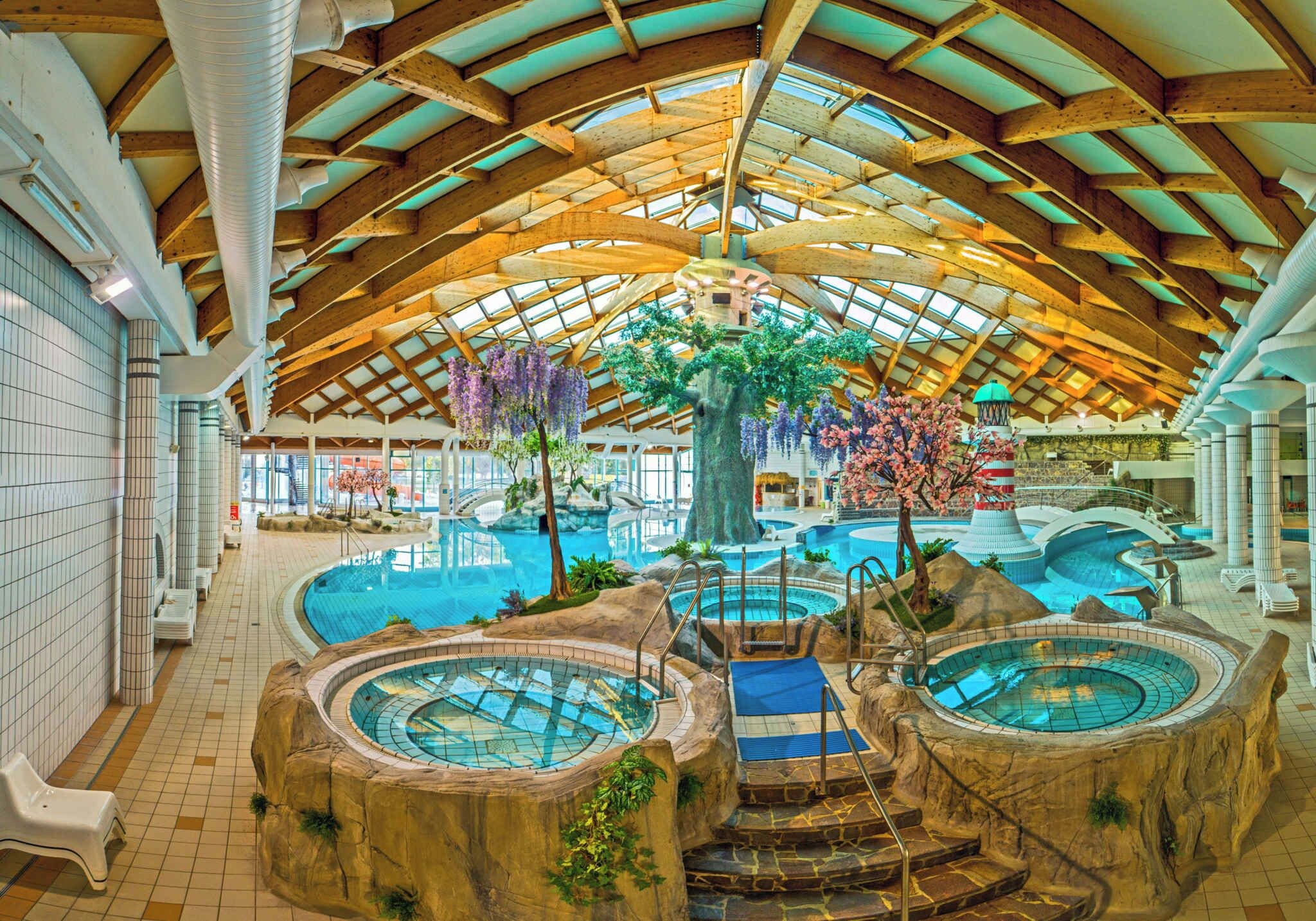 An indoor swimming pool with multiple hot tubs, wooden beams, and a large tree in the center.
