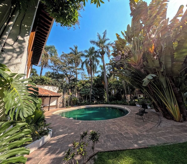 Une piscine entourée de plantes tropicales et de palmiers.