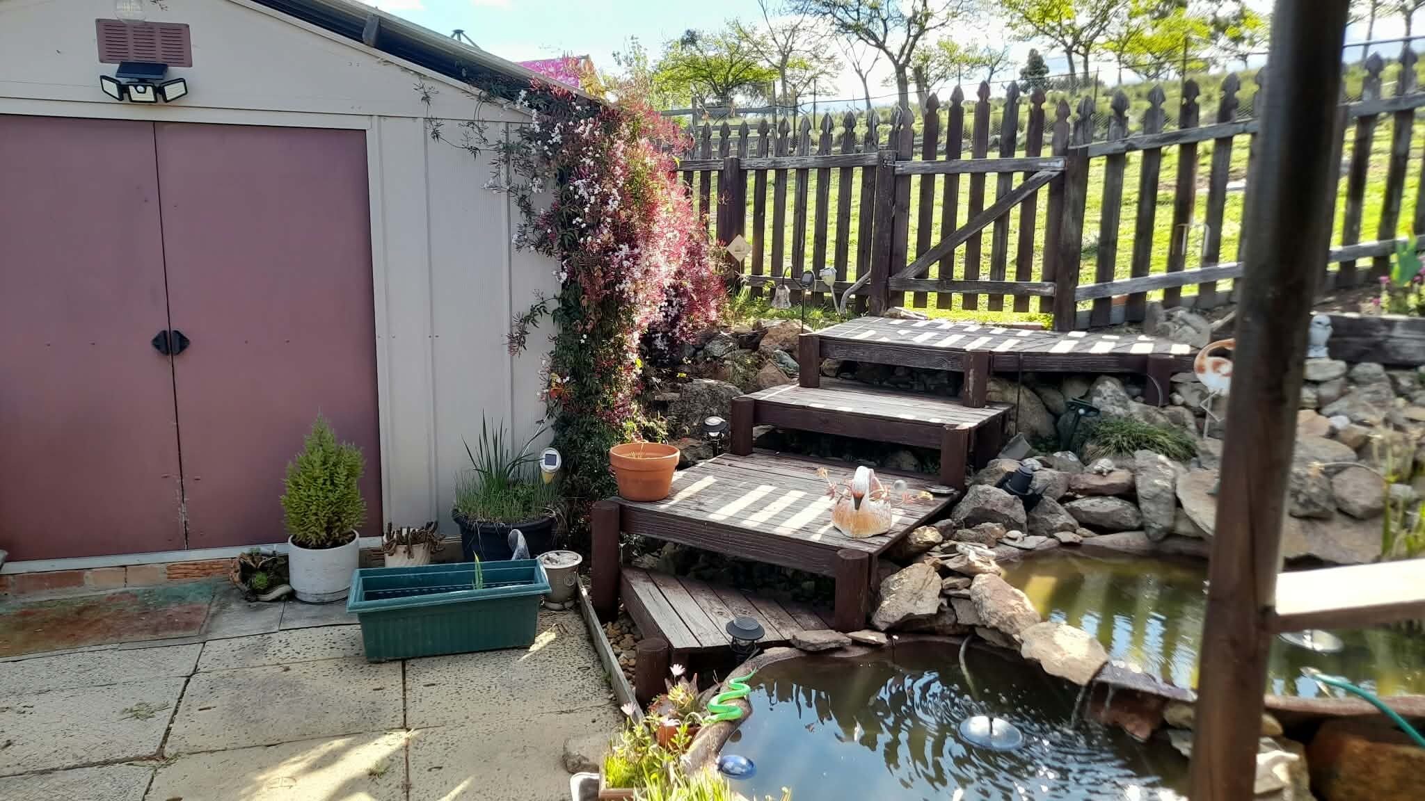 A backyard with a wooden deck, a small pond, and a shed.